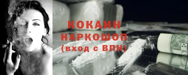 стаф Пестово