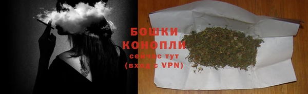 стаф Пестово