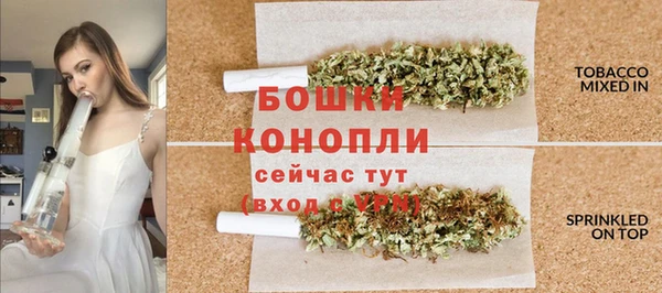 стаф Пестово