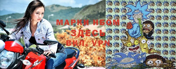 стаф Пестово