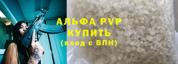 стаф Пестово